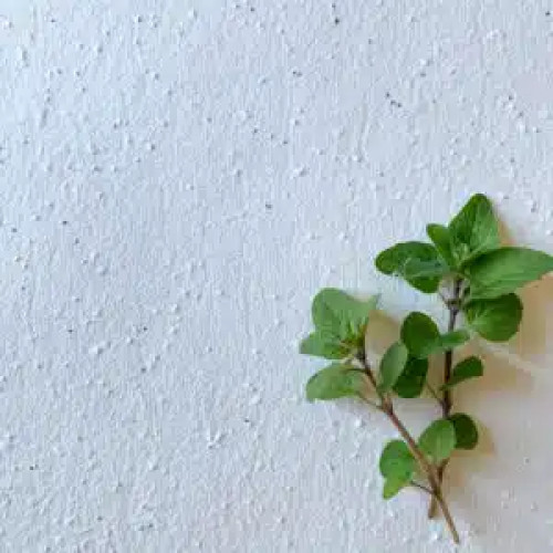 Seeded Herb Paper A5 (Oregano) (Pack of 20 sheets)