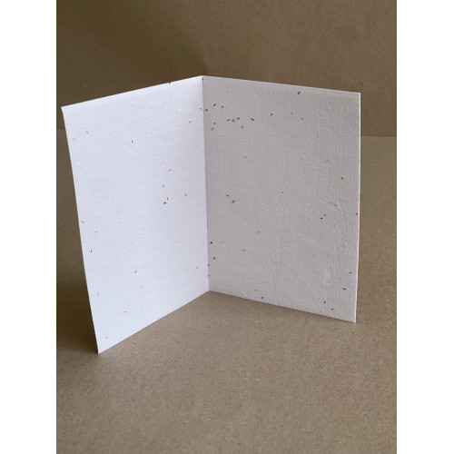 Seeded Recycled Paper Cards A6 (swan river daisies) (Pack of 20)