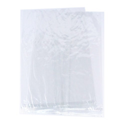 Cellophane Bag GCard (200x135mm) Pack of 100