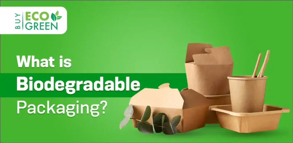 What Is Biodegradable Packaging