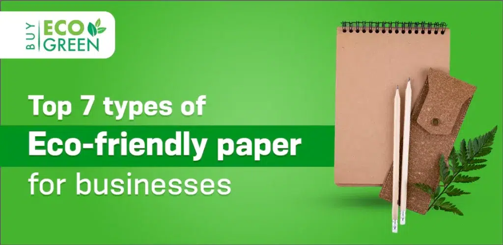 Top 7 Types of Eco-Friendly Paper for Businesses