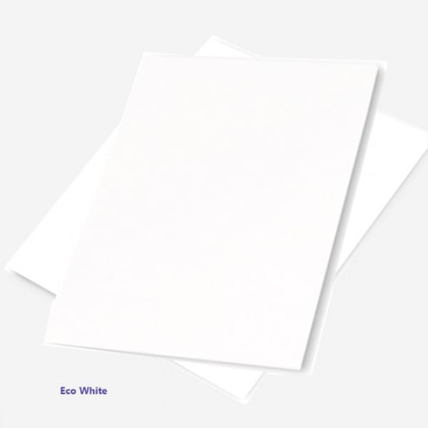 Eco White Recycled A4 Paper 100gsm (pack of 100 sheets)