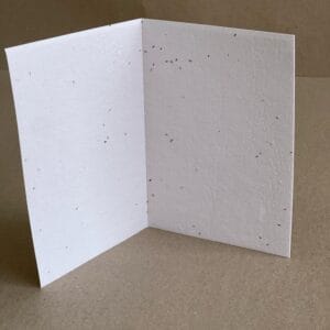 Seeded Recycled Paper Cards - Greeting Card (weeping bottlebrush) (Pack of 20)