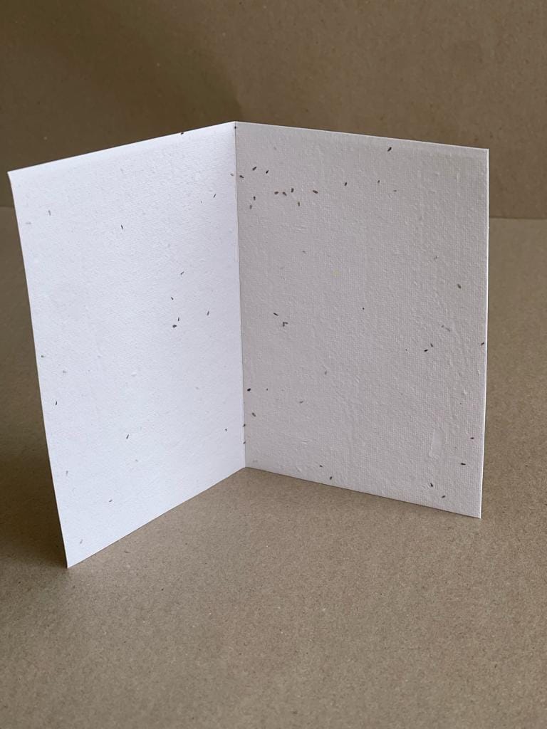 Seeded Recycled Paper Cards - Greeting Card (weeping bottlebrush) (Pack of 20)