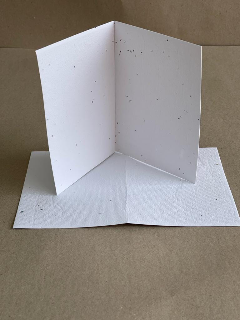 Seeded Recycled Paper Cards A6 (weeping bottlebrush) (Pack of 20)