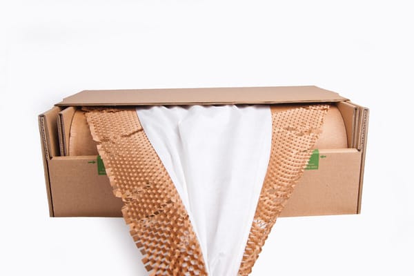 GreenWrap ExBox - Paper Packaging