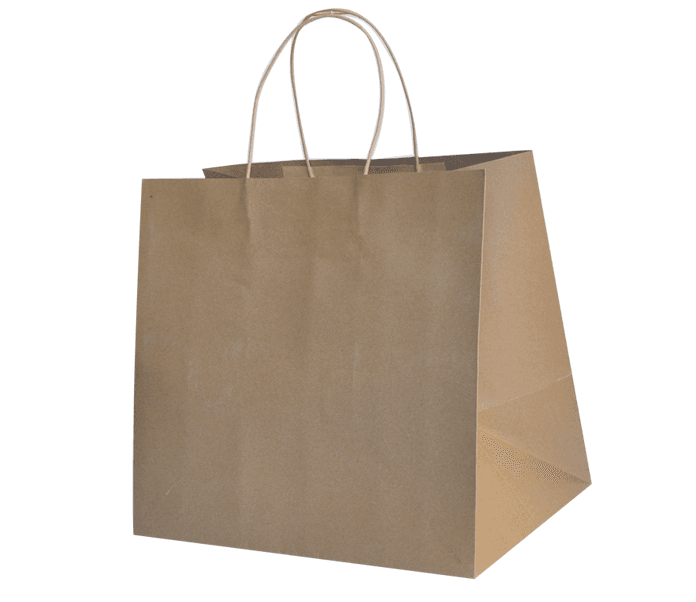 Recycled Brown Paper Small Boutique Carry Bag (Pack of 50)