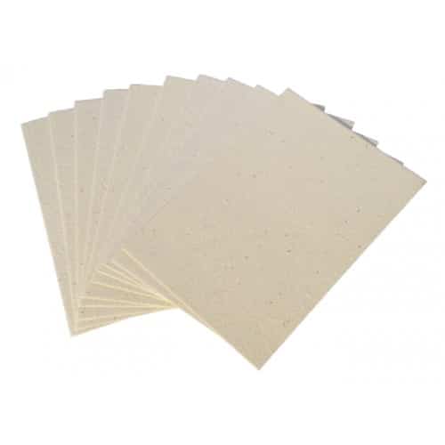 Seeded Paper A4 (weeping bottlebrush) (Pack of 20 sheets)