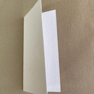 Seeded Recycled Paper Cards DL (weeping bottlebrush) (Pack of 20)