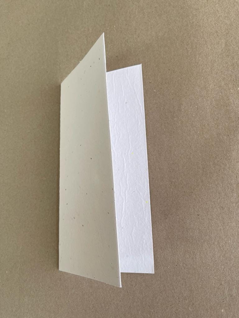 Seeded Recycled Paper Cards DL (weeping bottlebrush) (Pack of 20)